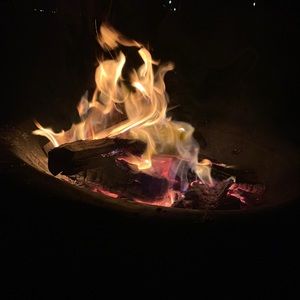 Meet your Posher, Landon